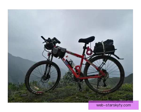 梦想征途希望抚慰受苦狼迷之心